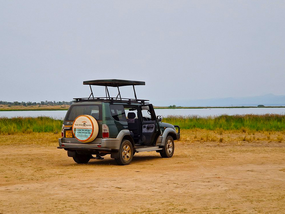 Renting a 4x4 Rental Car for Congo's Terrain: Best Rental Cars - 4x4-self-drive-congo-car-rentals-in-congo