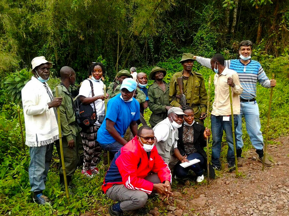 Road Trip Itineraries for Discovering Congo: Congo Safaris